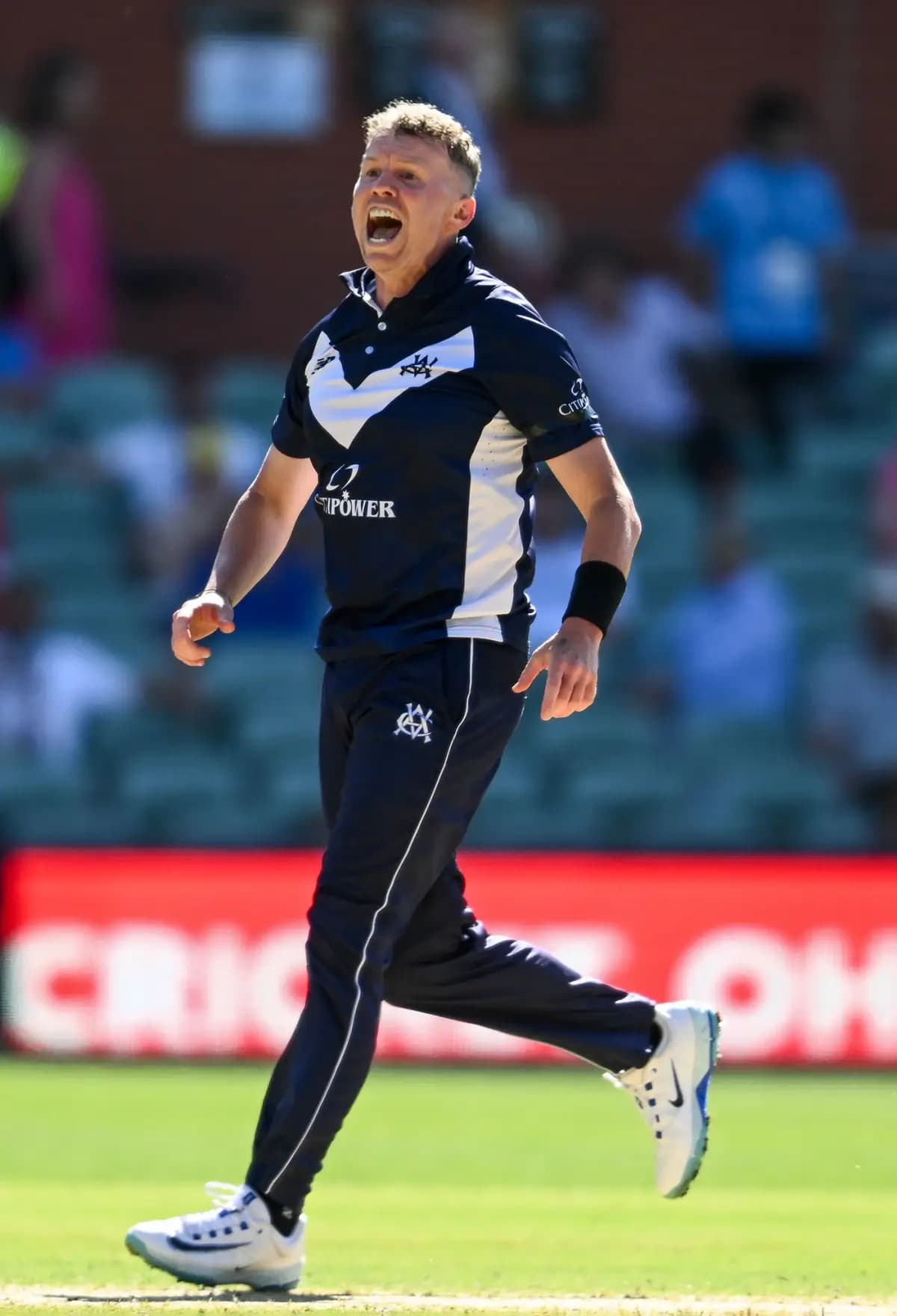 Siddle Ends First-Class Career on a High as WA Fall in Thrilling Finale