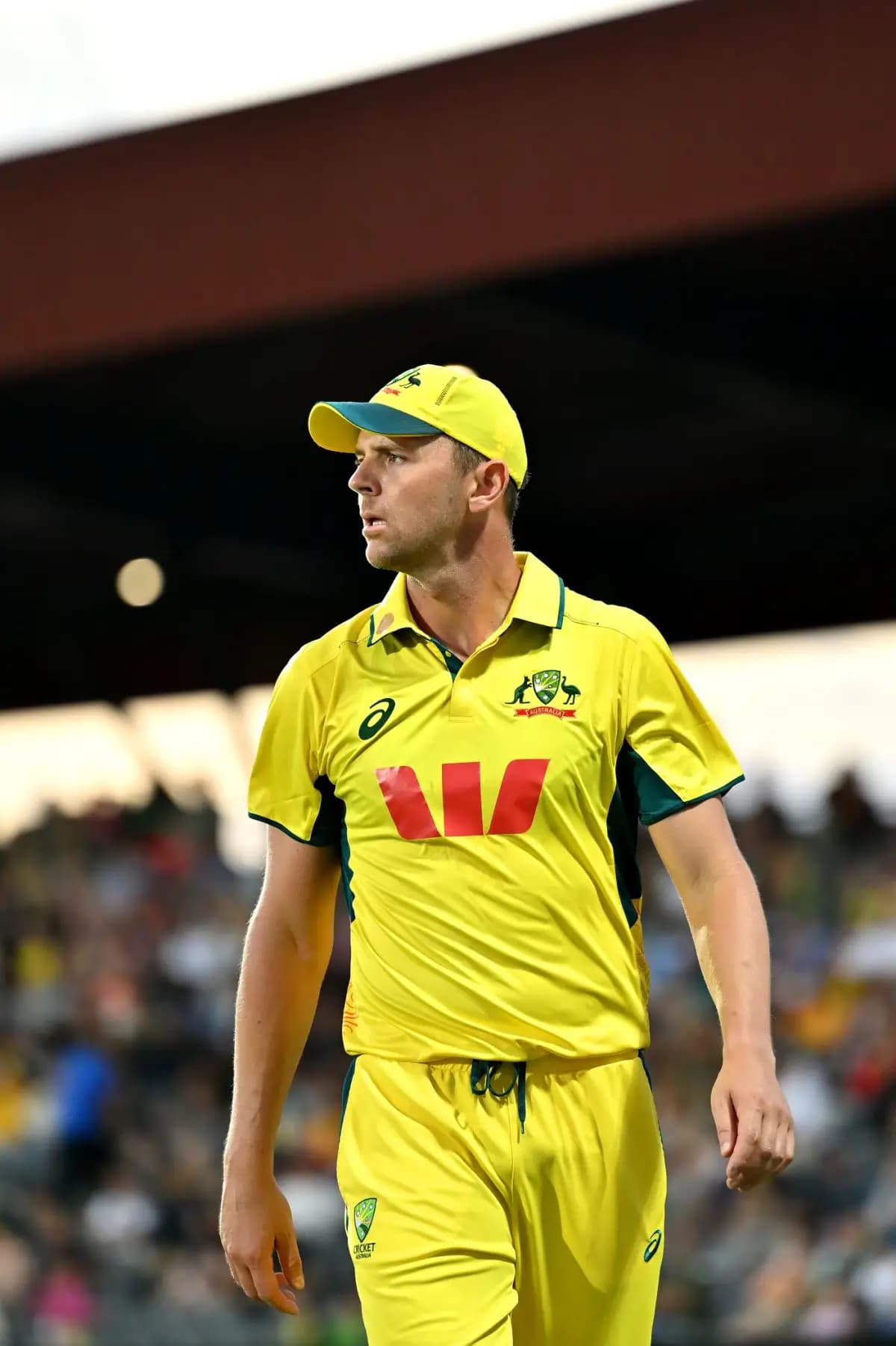 Hazlewood Praises England’s “Unbelievable” Batting Line-Up Ahead of the Ashes