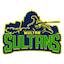 Multan Sultans