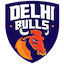 Delhi Bulls