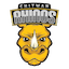 Chitwan Rhinos