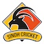 Sindh 2nd XI