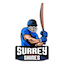 Surrey Shines