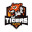 Tigers XI