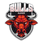 Bulls XI