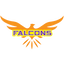 Falcons Women