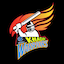 Bajaj Khadak Warriors