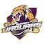 Surrey Jaguars