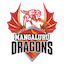 Mangalore Dragons