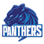 Panthers (Pakistan)