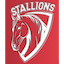 Stallions (Pakistan)