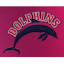 Dolphins (Pakistan)