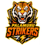 Palamuru Strikers