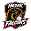 Medak Falcons