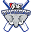Kzl W