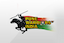 Pune Warriors