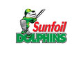 Dolphins Academy