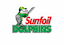 Dolphins Academy