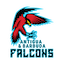 Antigua and Barbuda Falcons