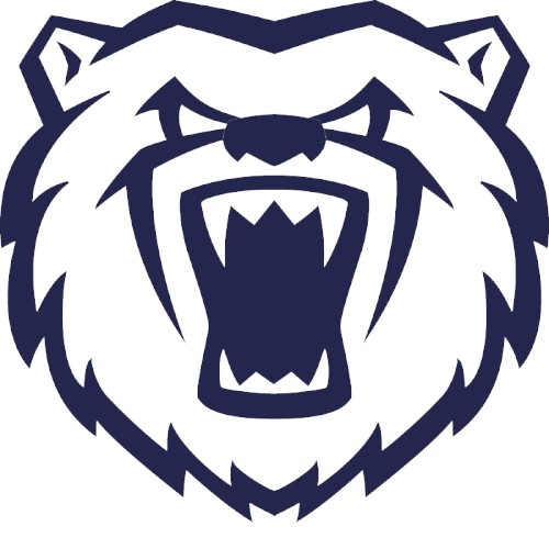 Birmingham Bears