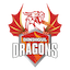 Dindigul Dragons