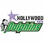Dolphins Women flag
