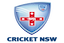 New South Wales Women flag