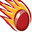 Queensland Women flag