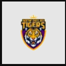 New Delhi Tigers