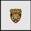 New Delhi Tigers