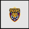 New Delhi Tigers