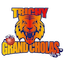 Trichy Grand Cholas