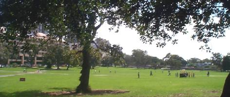 The Domain cricket ground