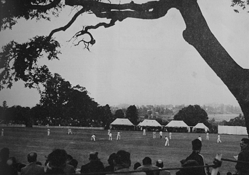 Mote Park cricket ground