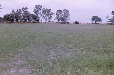 Indra Gandhi Stadium cricket ground