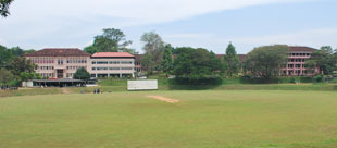 Peradeniya Campus Ground