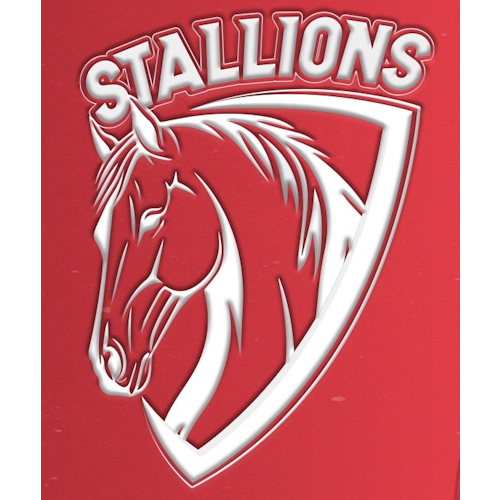 Stallions (Pakistan)