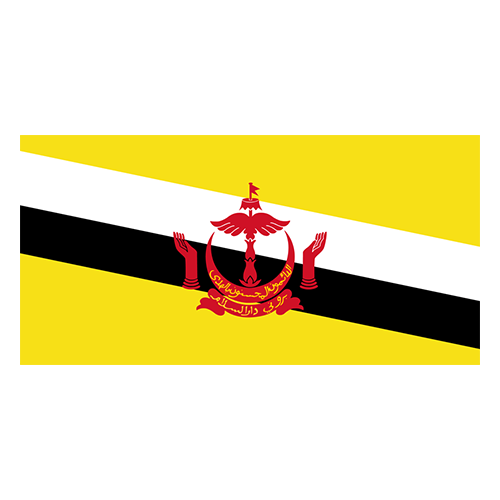 Brunei Under-19s