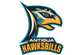 Antigua Hawksbills